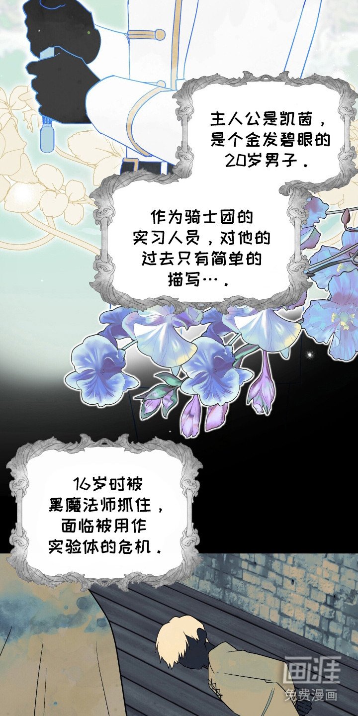 第6章：反派Boss