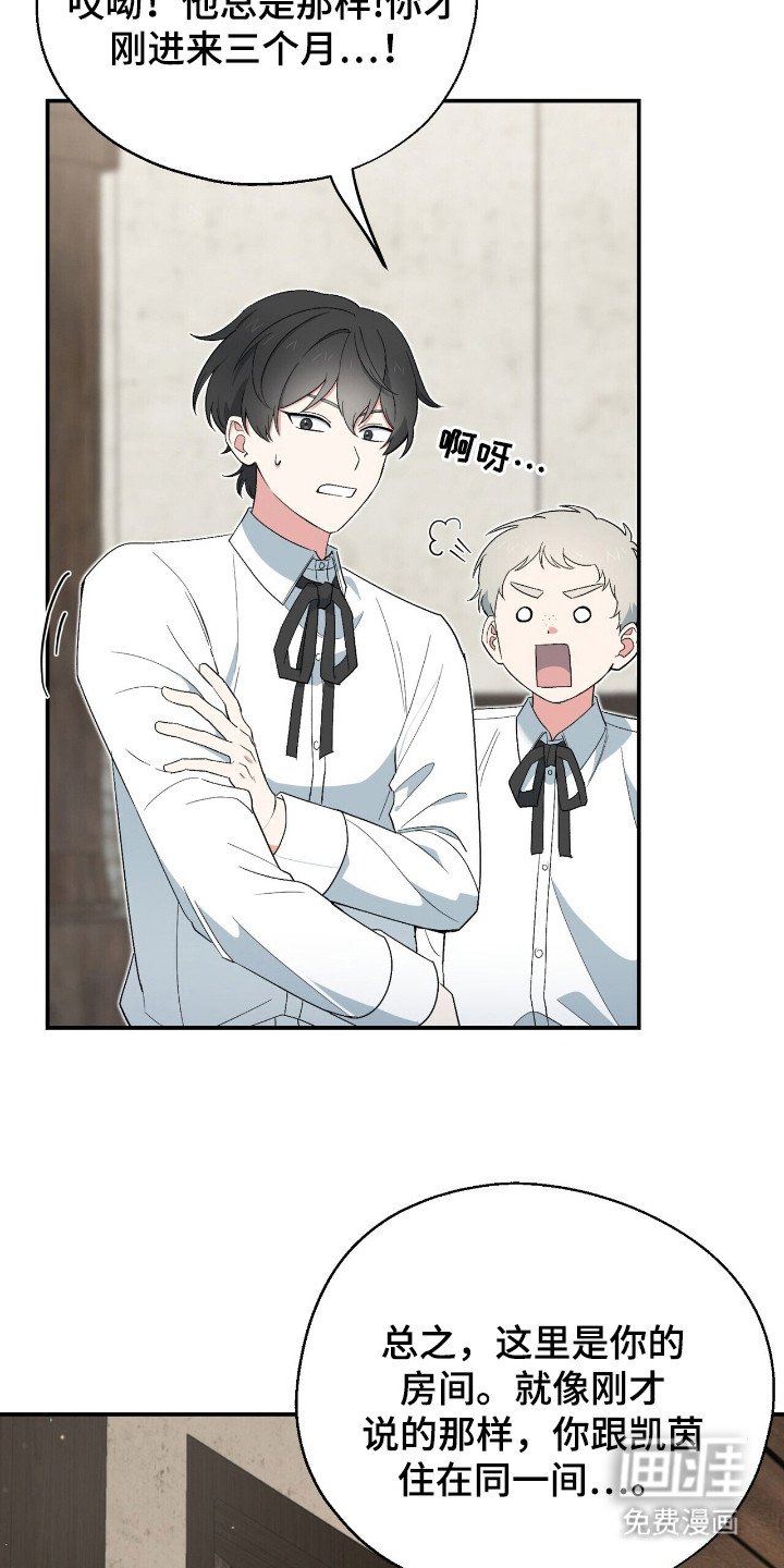 第7章：整理思绪