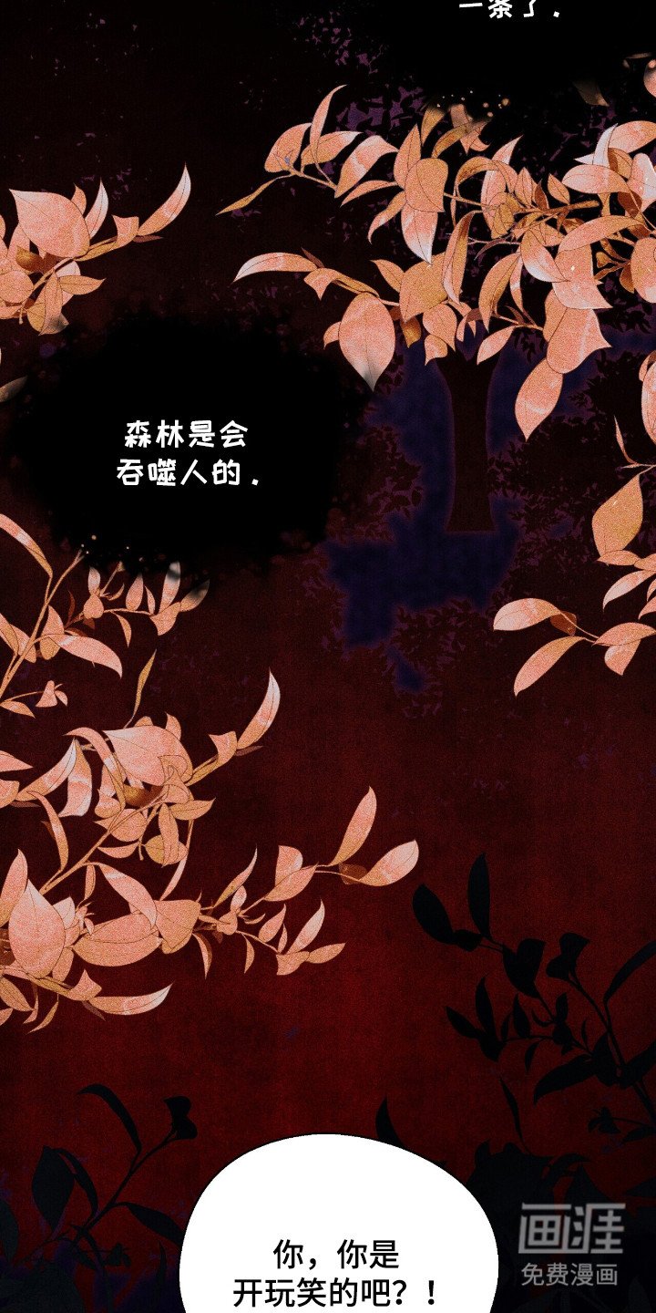 第9章：注意事项