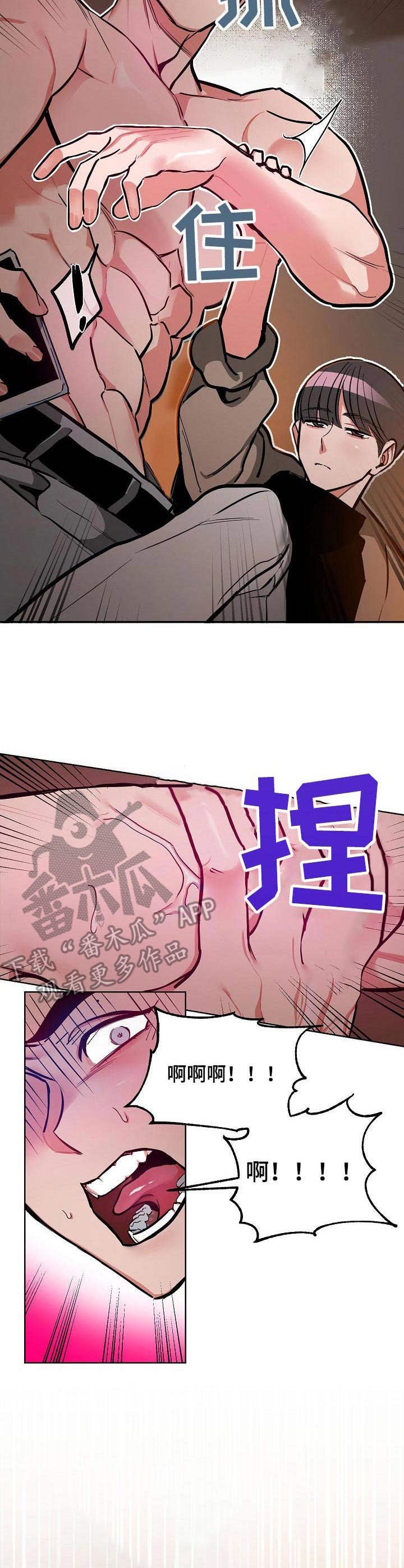 第11章：不可理喻