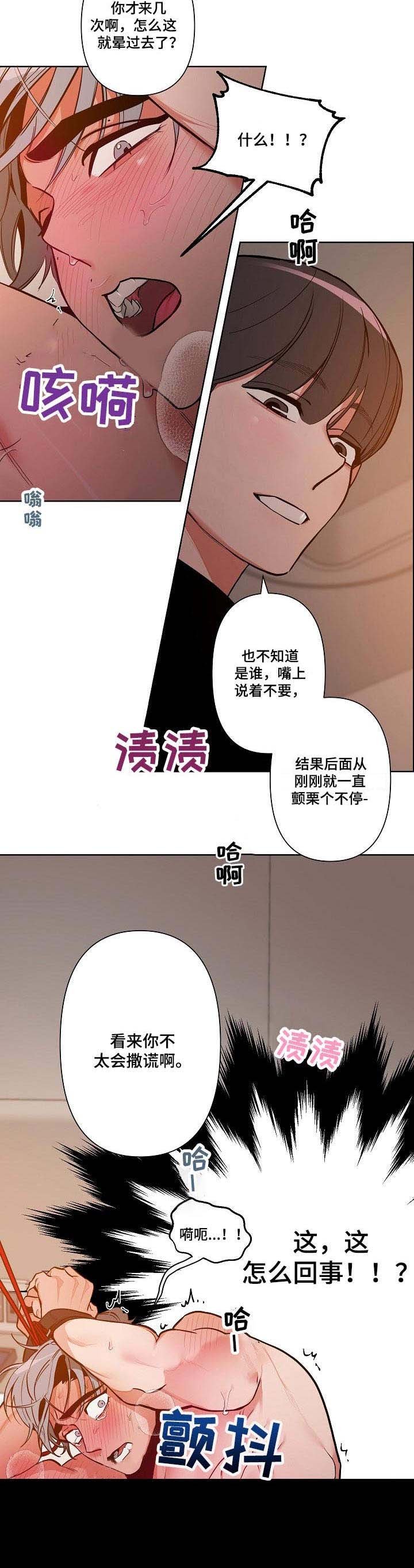 第12章：惩罚