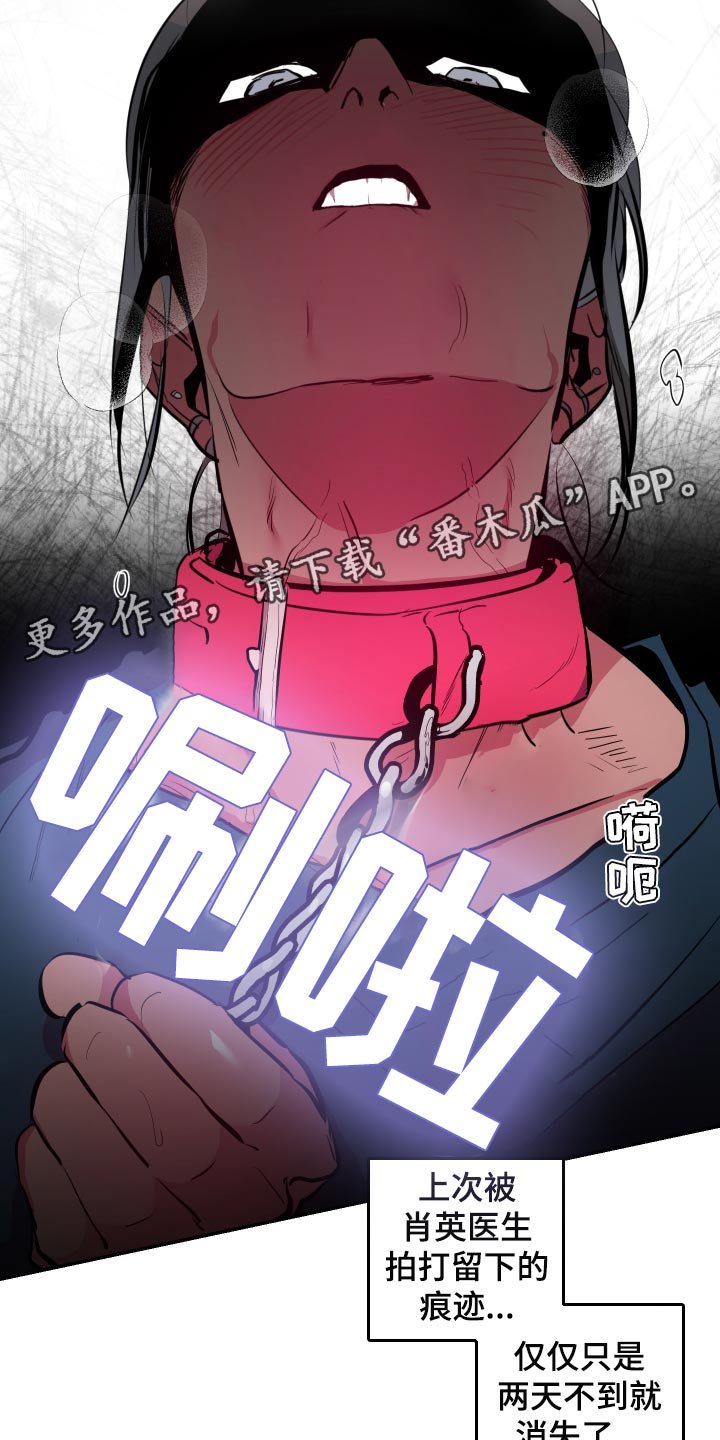 第37章：【第二季】真可惜