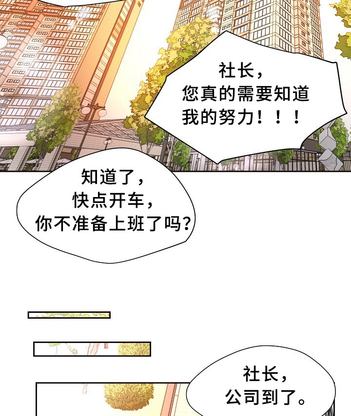 第146章：会长