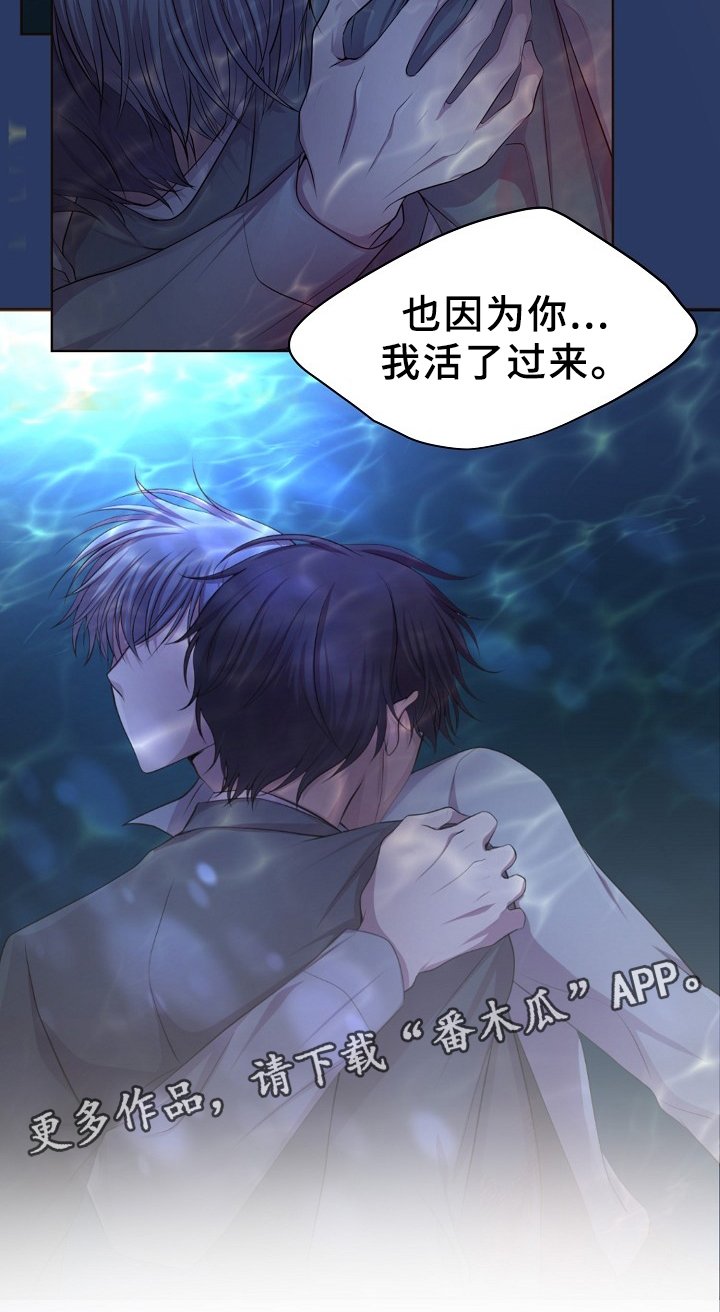 第157章：爱你