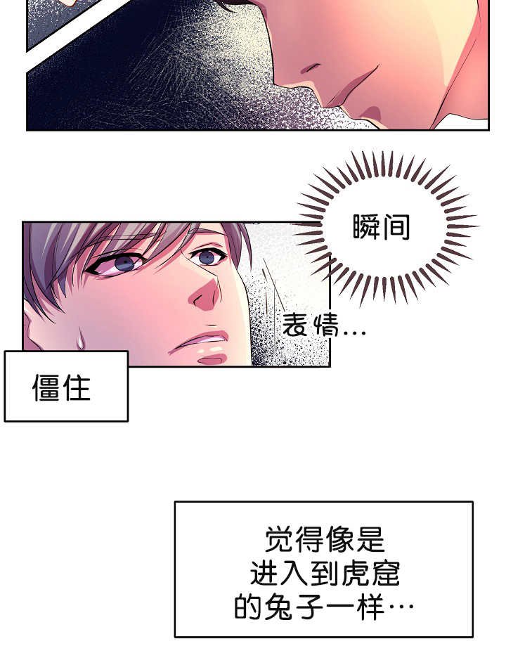 第3章：一见钟情