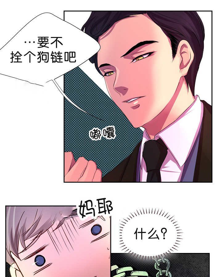 第3章：一见钟情