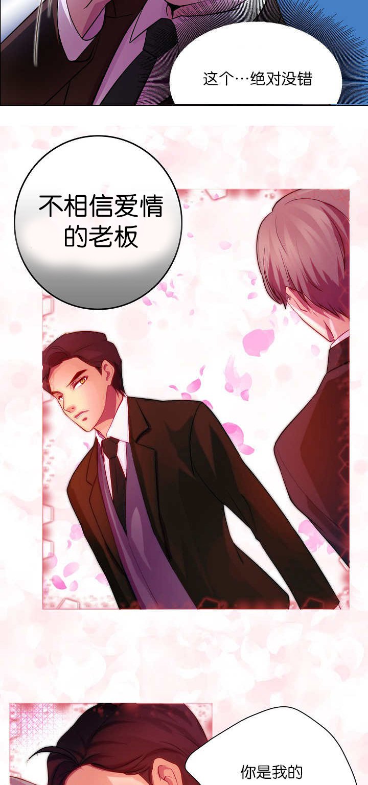 第3章：一见钟情