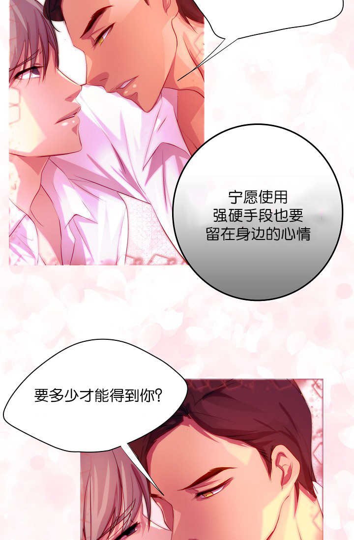 第3章：一见钟情