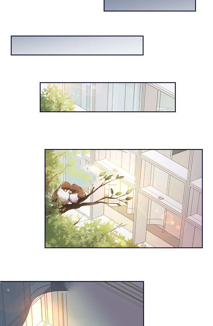 第50章：没有用力