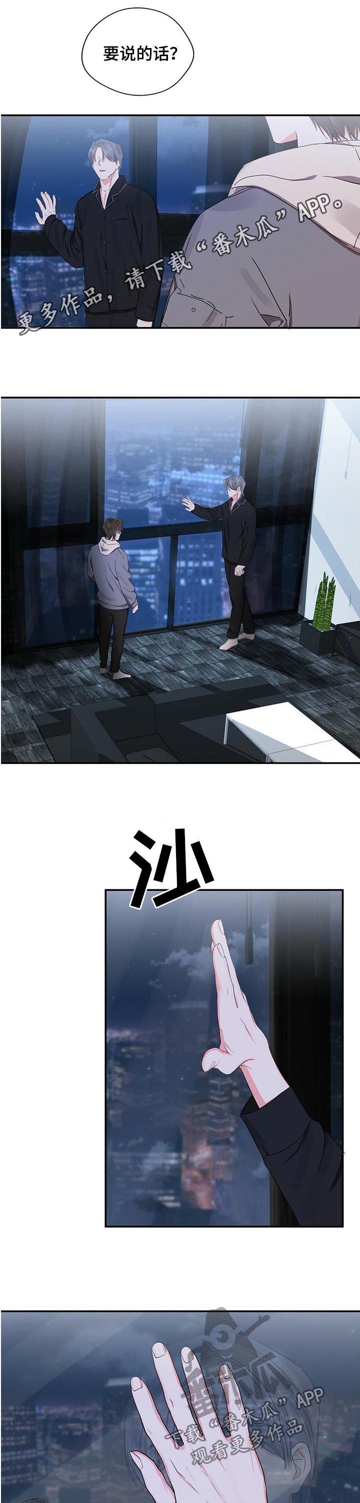 第27章： 耀眼