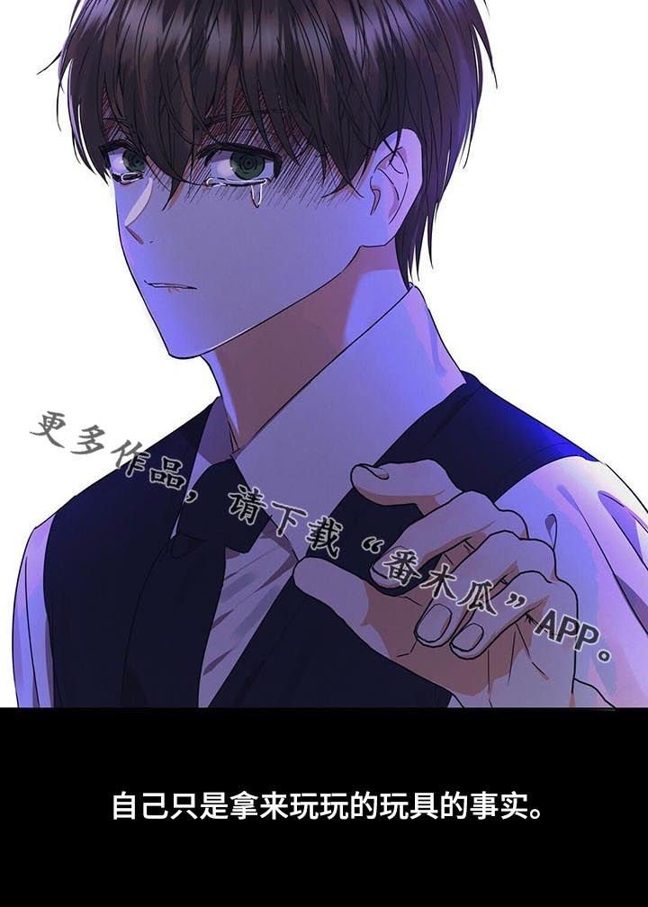 第38章：玩具