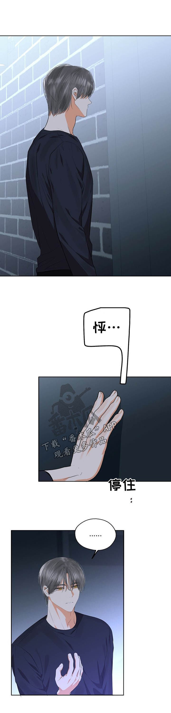 第52章：傻瓜