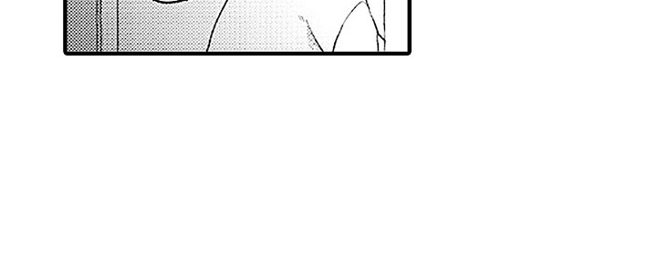 第13章：试用