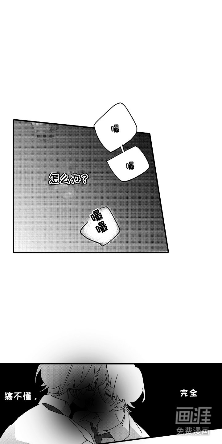 第5章：搞不懂