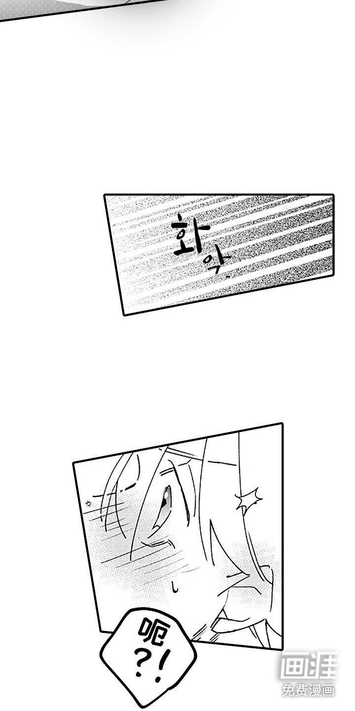 第5章：搞不懂
