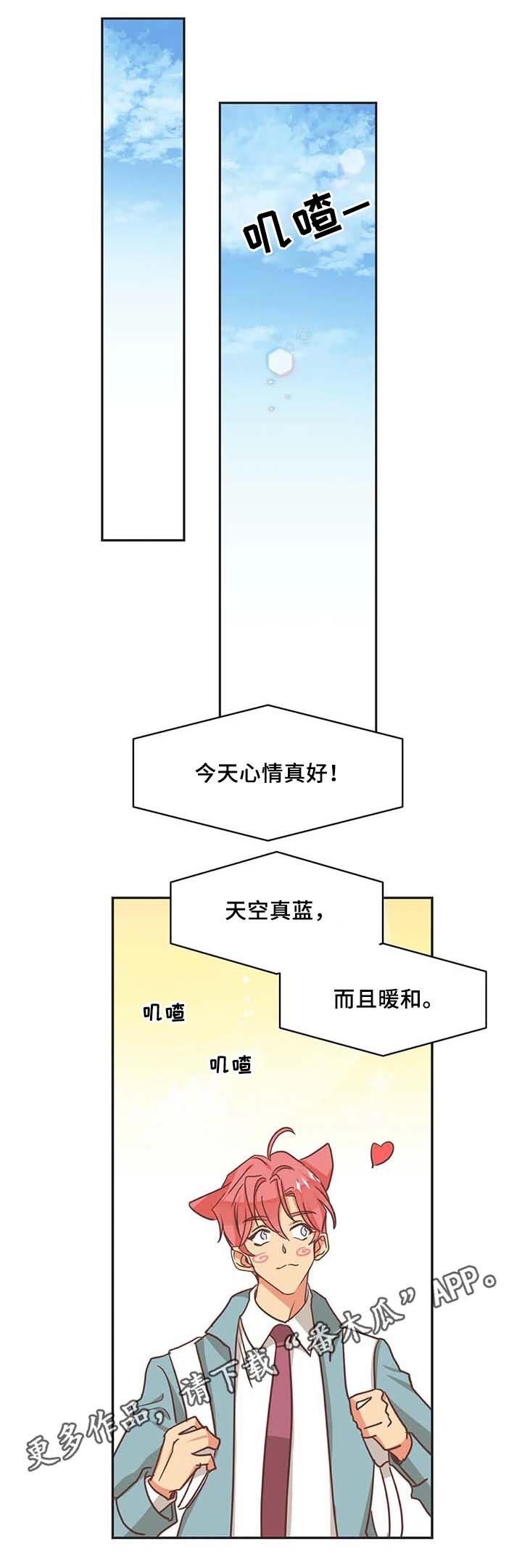 第104章：冤大头