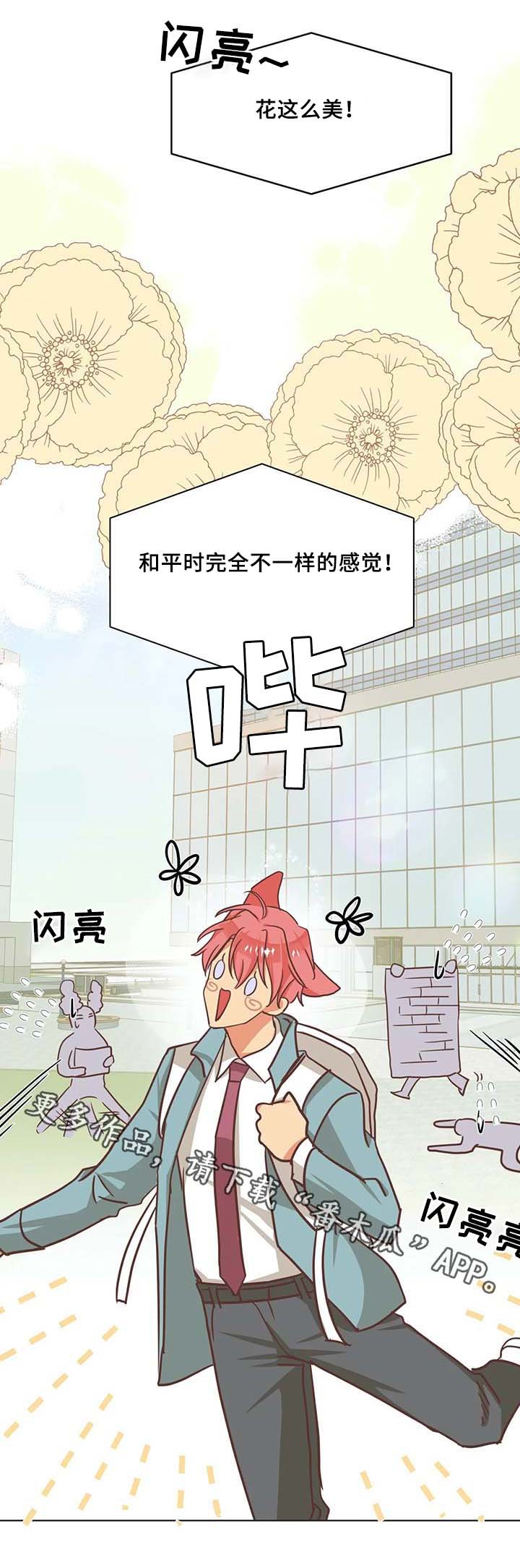 第104章：冤大头