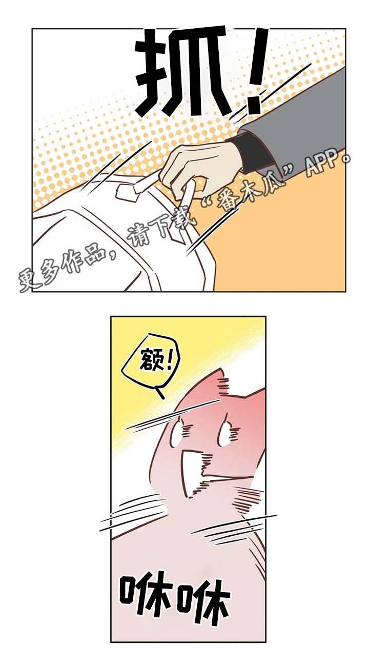 第104章：冤大头