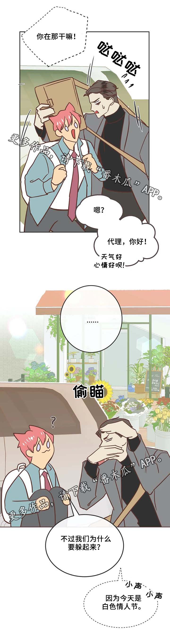 第104章：冤大头
