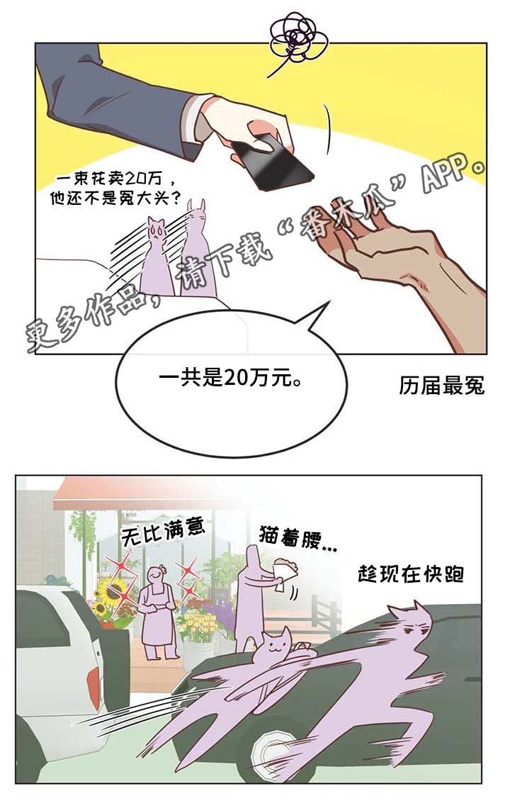 第104章：冤大头