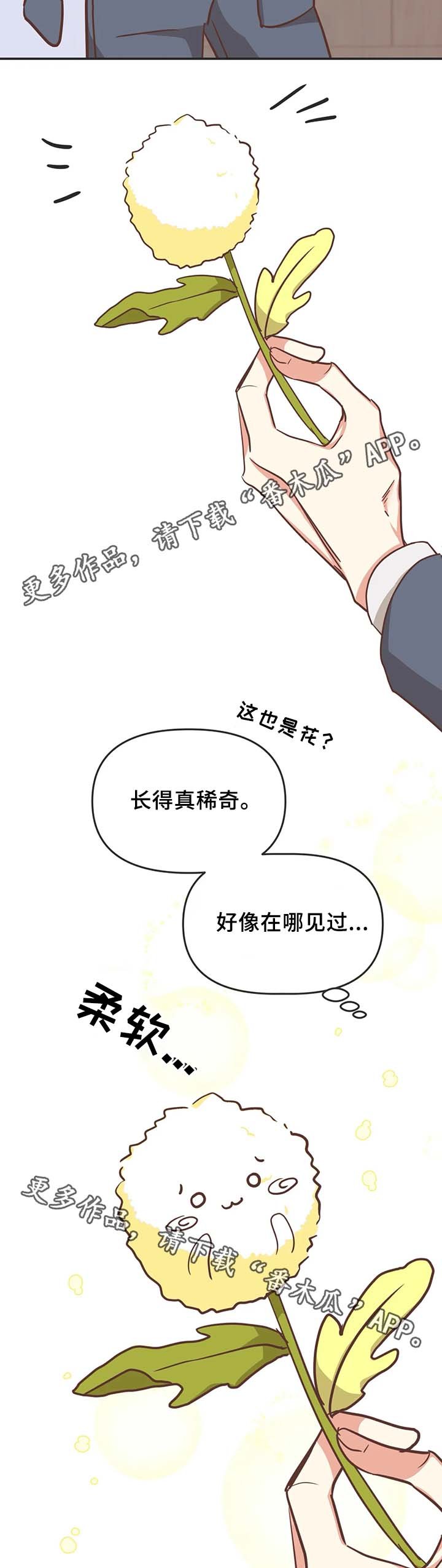 第106章：不准解扣子