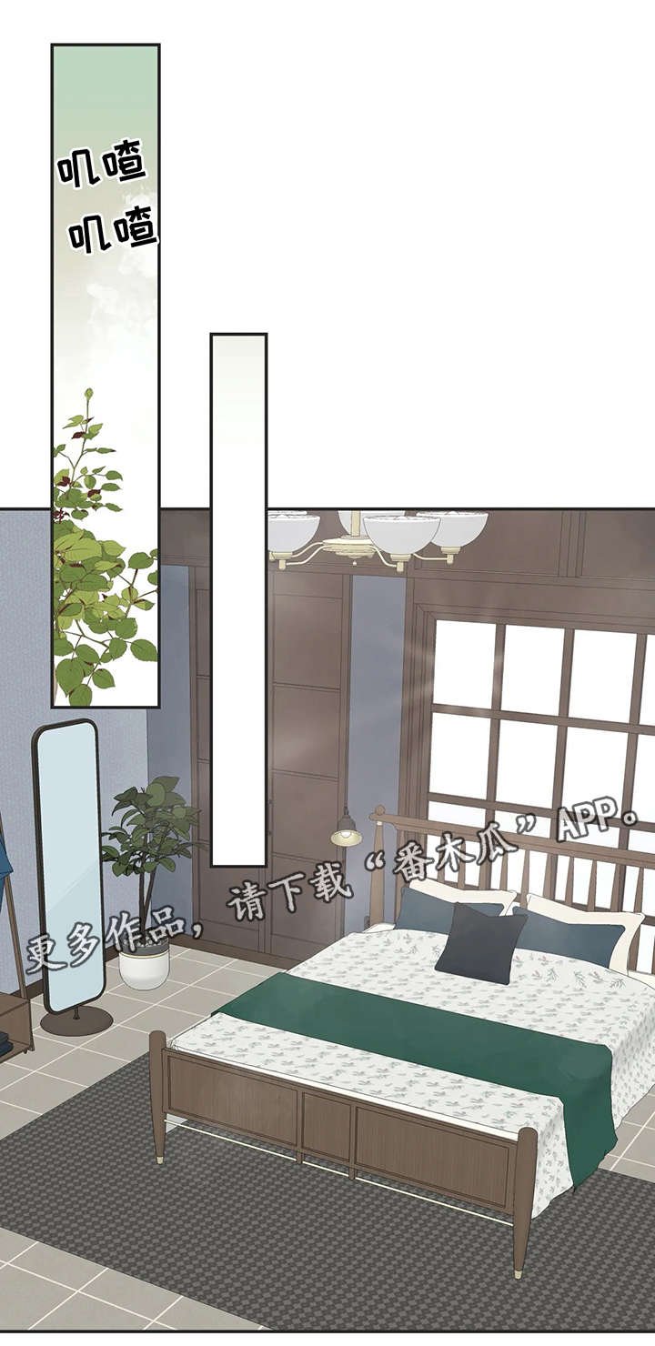 第119章：内部会议
