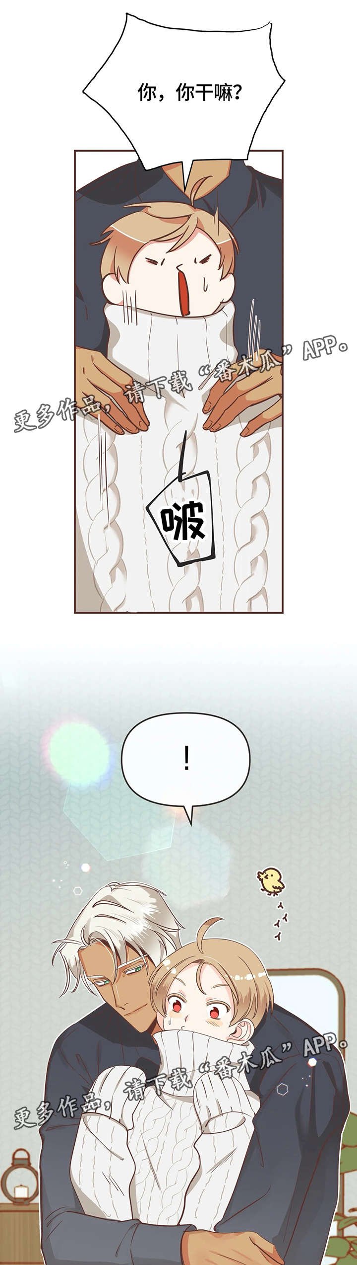 第119章：内部会议