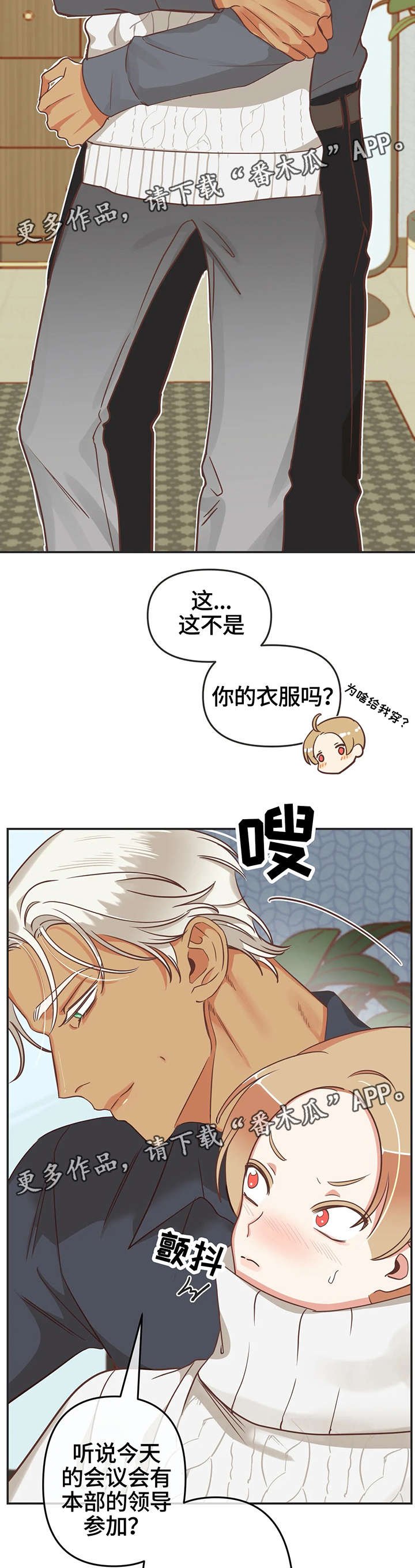 第119章：内部会议