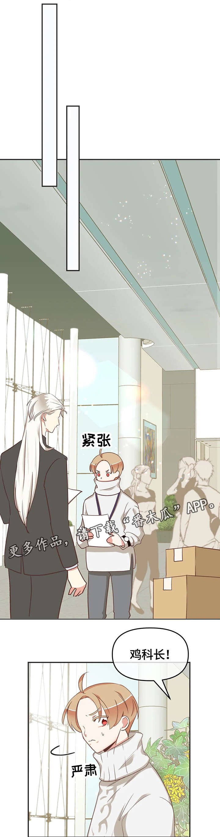 第119章：内部会议
