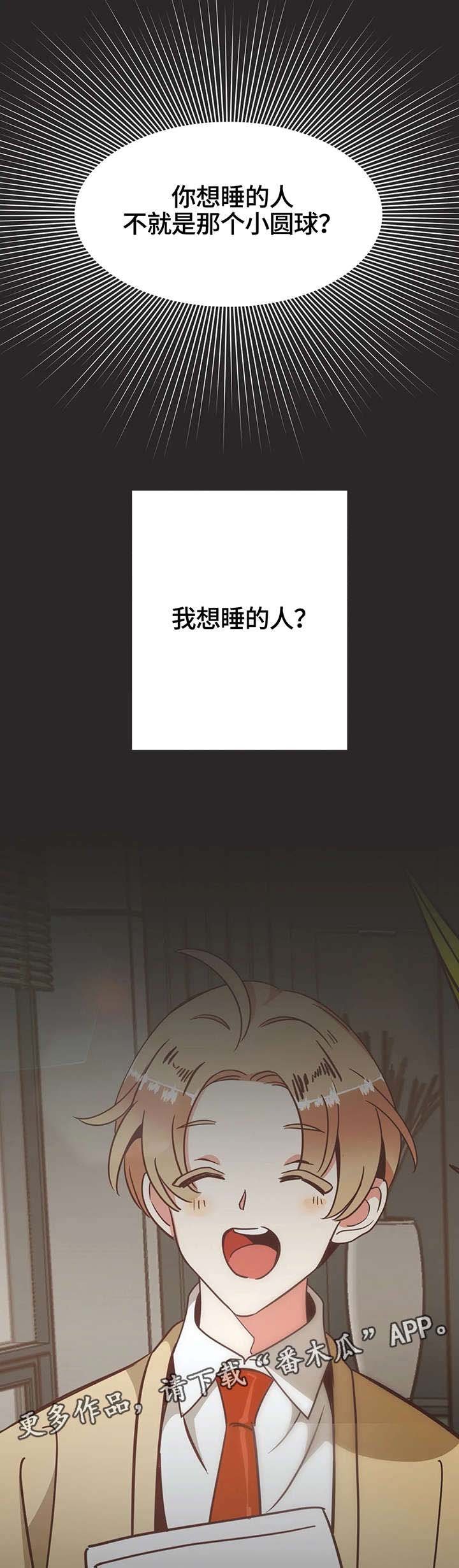 第119章：内部会议