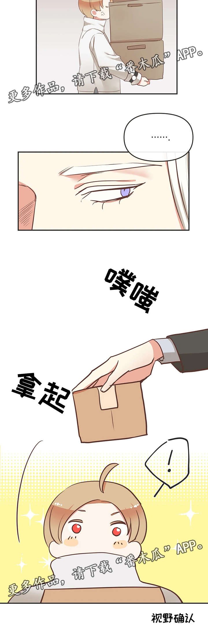 第119章：内部会议