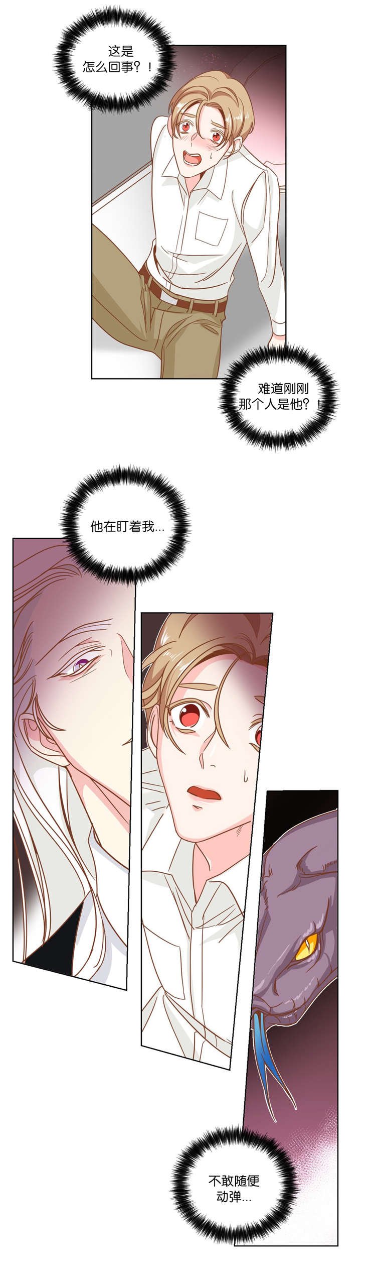 第12章：陪同