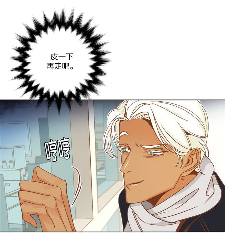 第12章：陪同