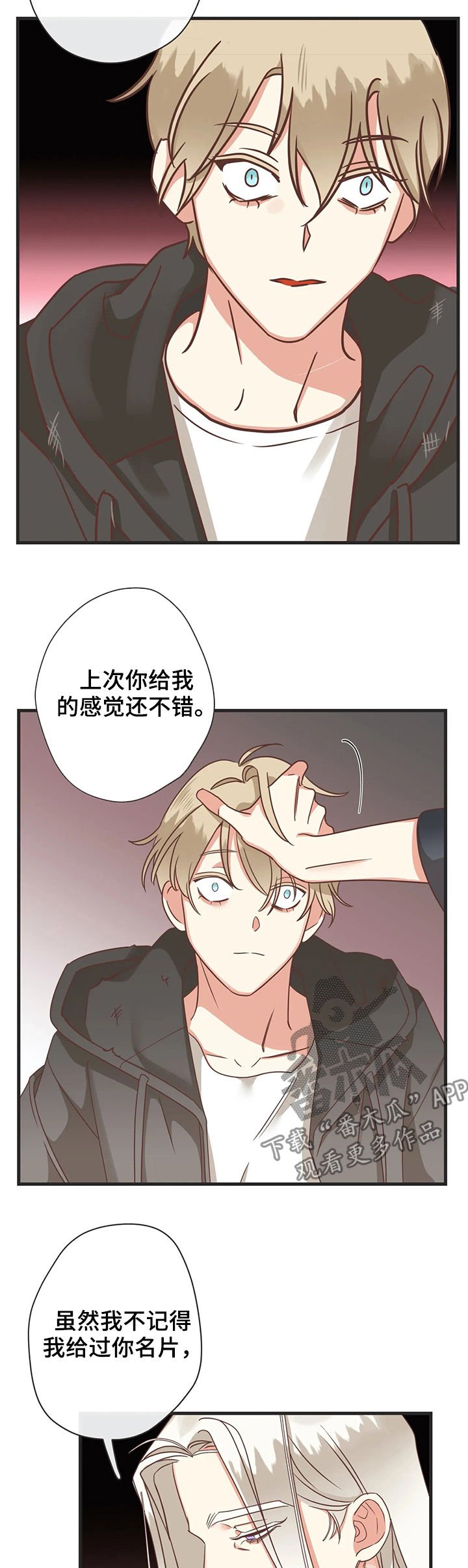 第126章：自掘坟墓