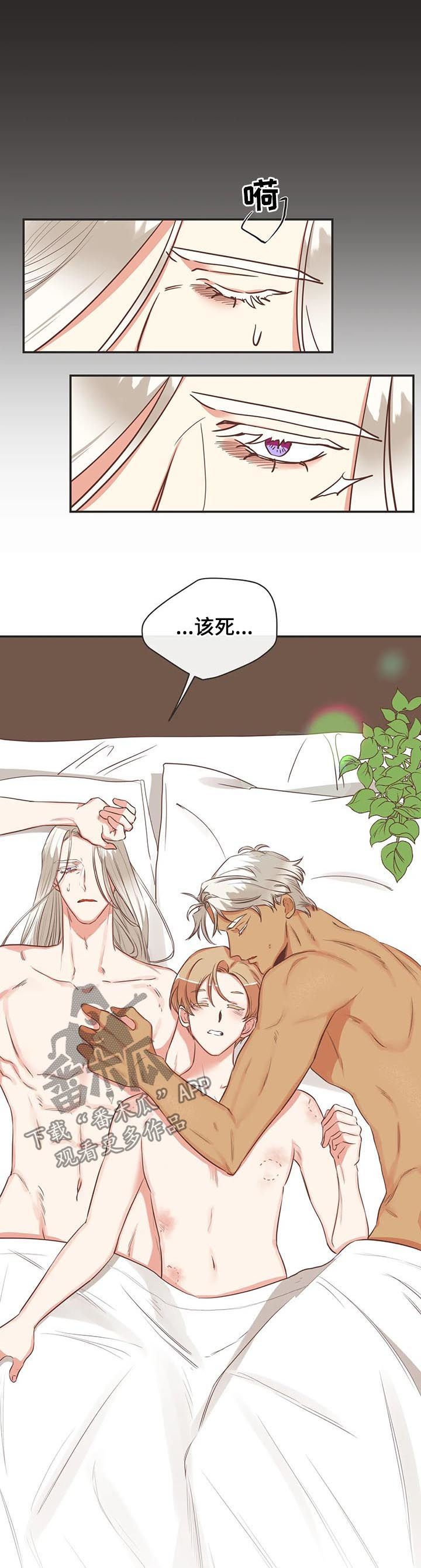 第138章：梦