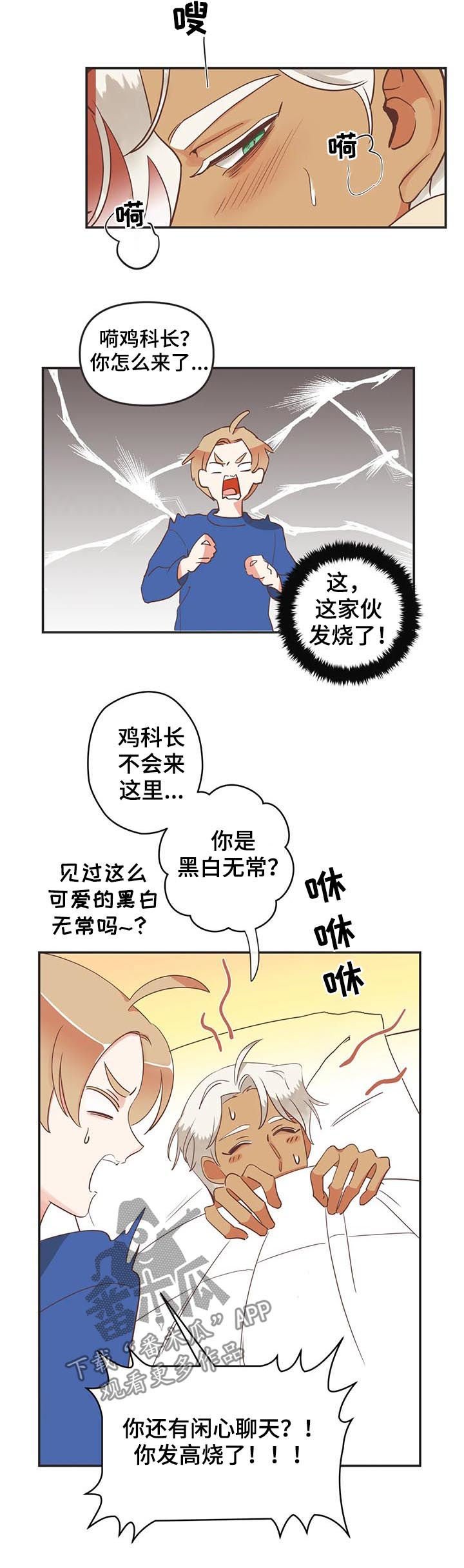 第141章：发烧