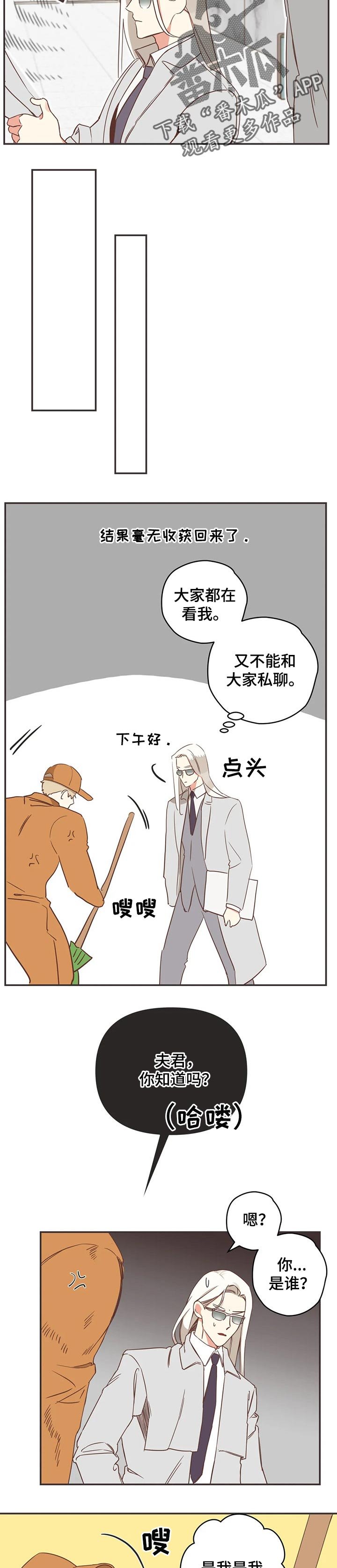 第155章：传闻