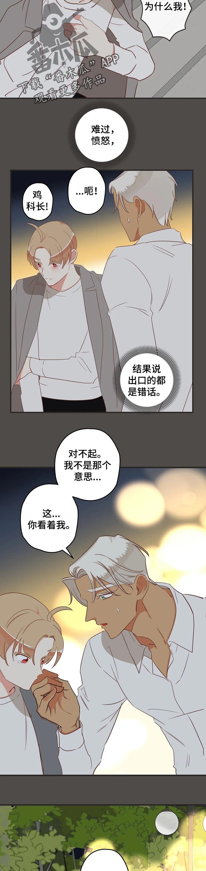 第158章：答复