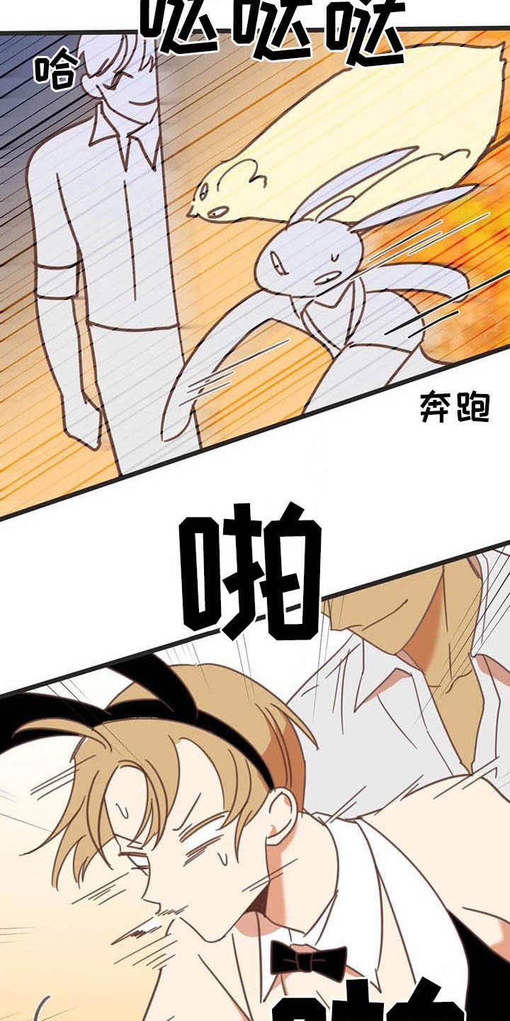 第181章：【番外】才艺展示