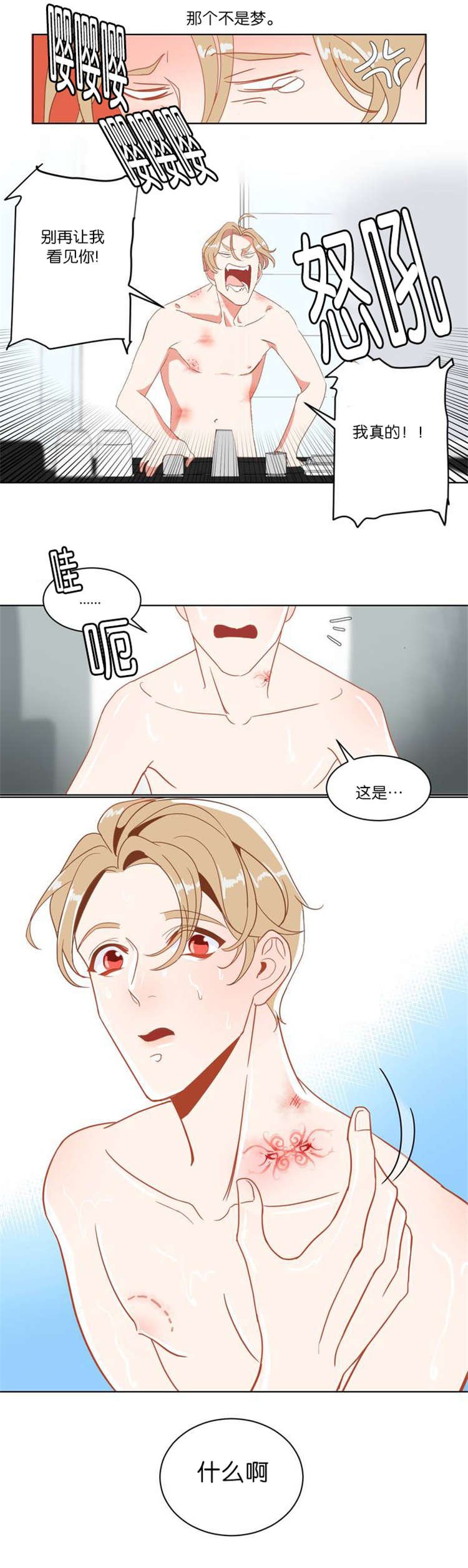 第2章：这是什么