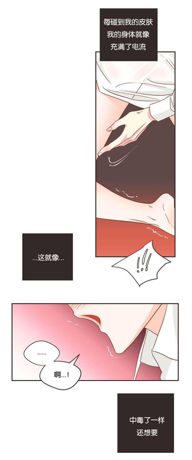 第20章：过年