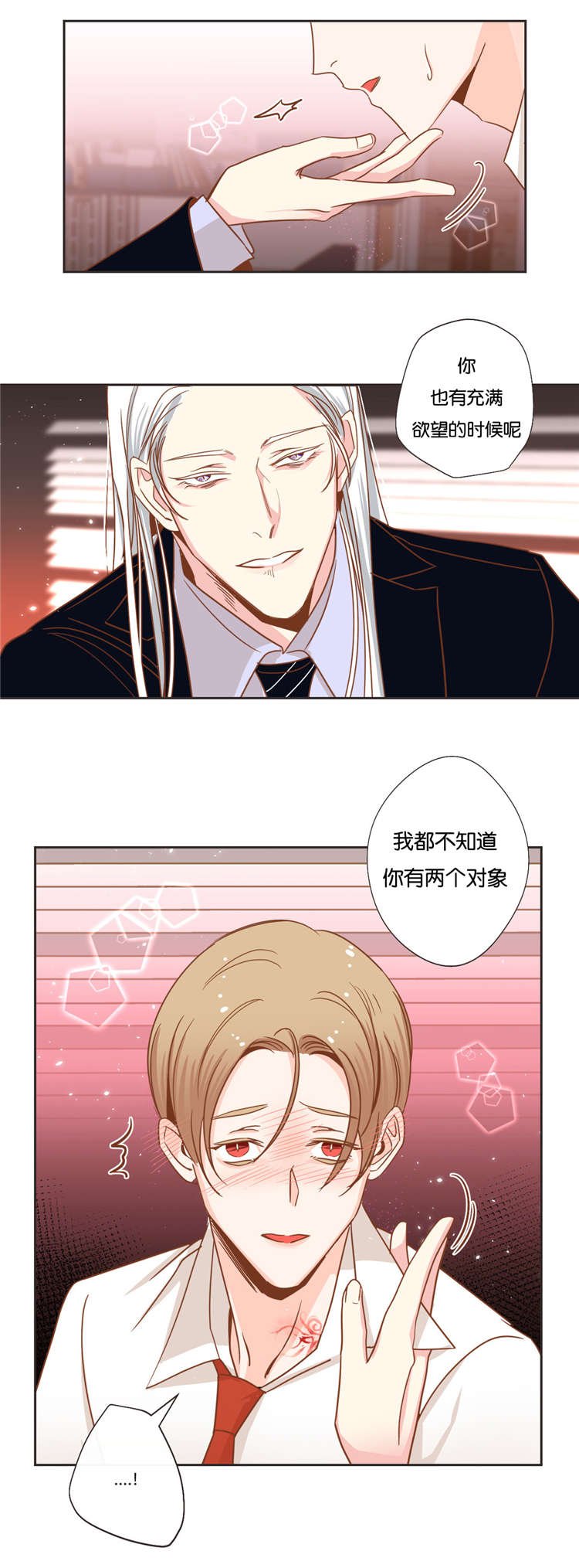 第28章：拆穿