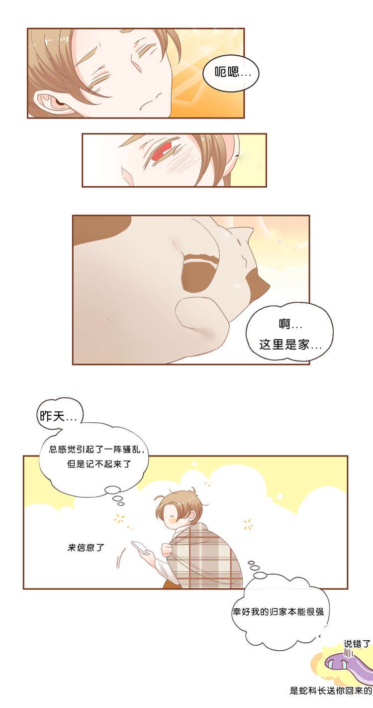第38章：信息