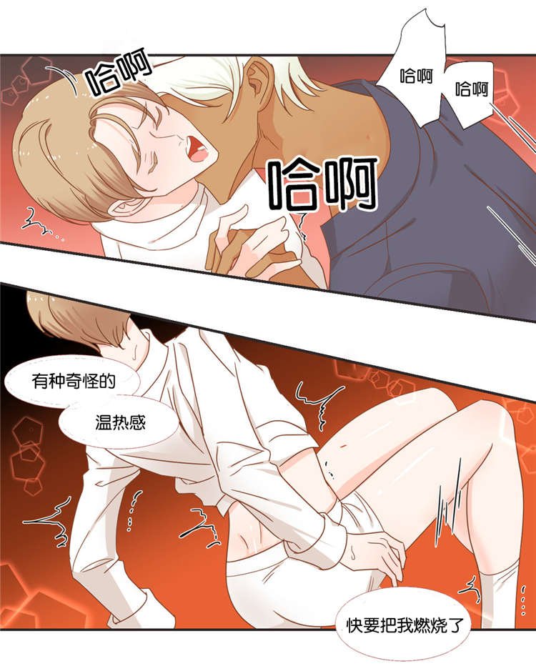第45章：感觉来了