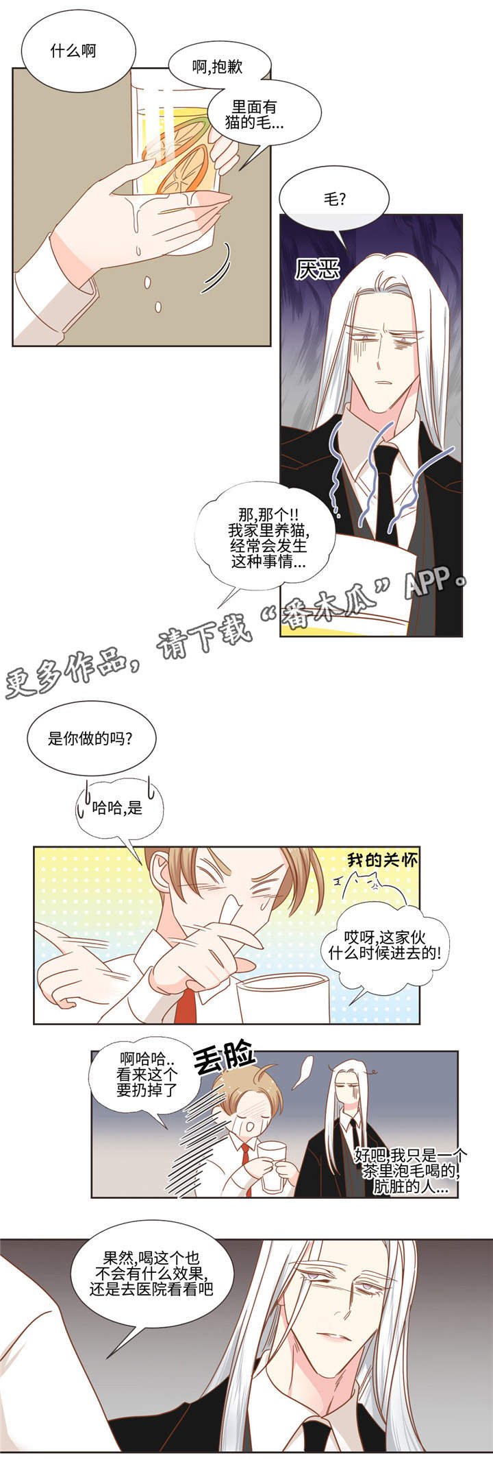 第54章：猫毛