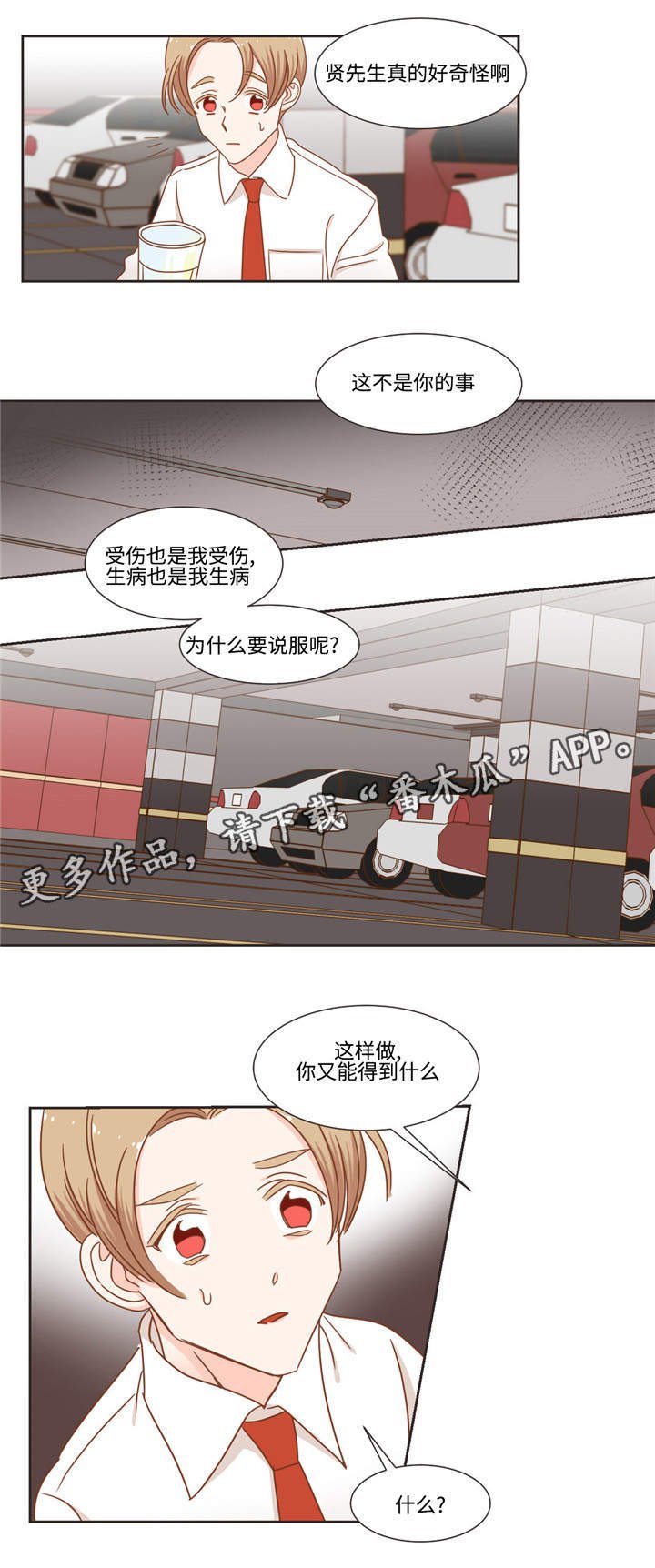 第54章：猫毛