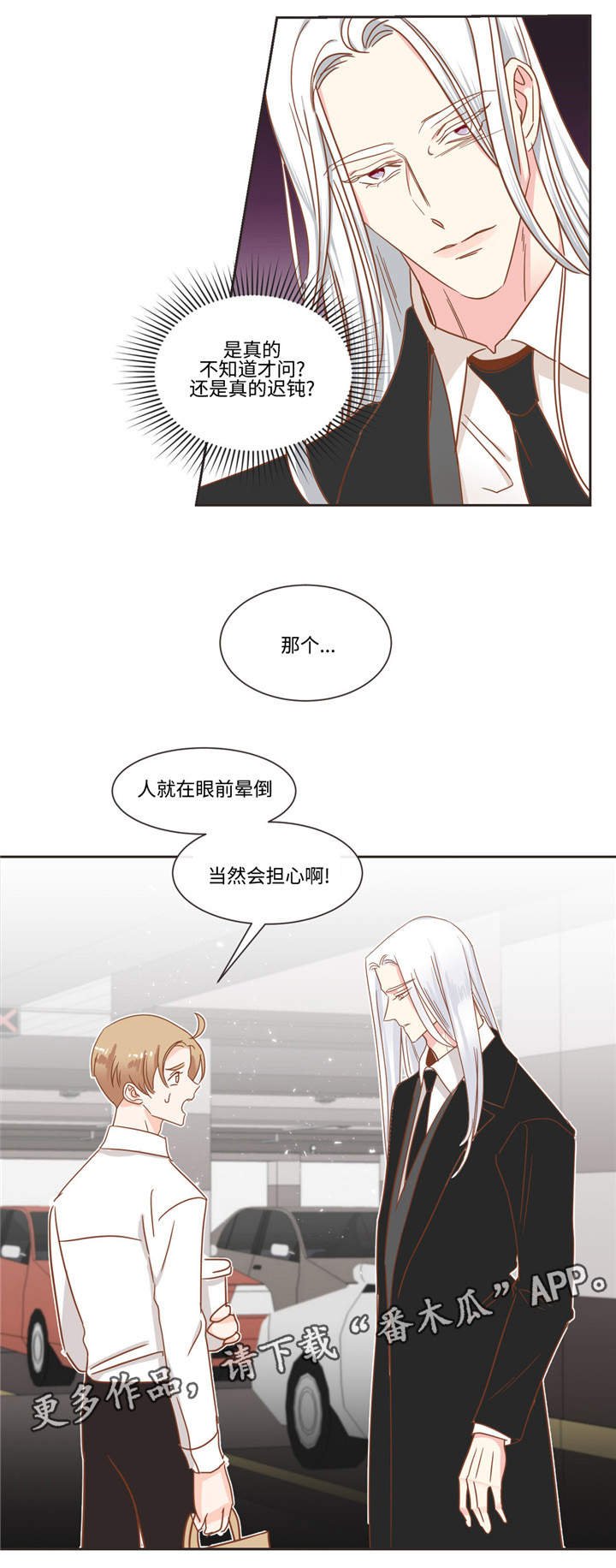 第54章：猫毛