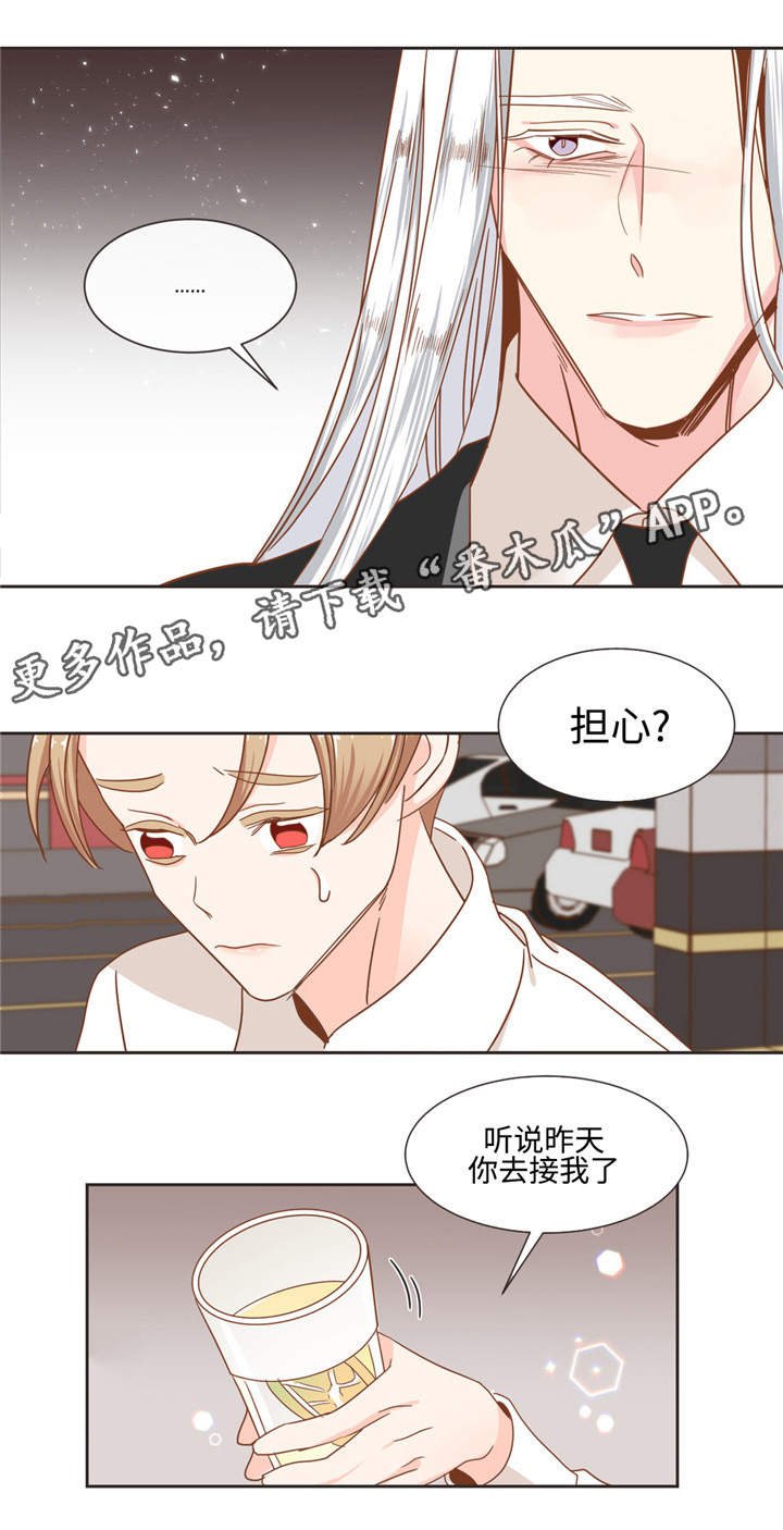 第54章：猫毛