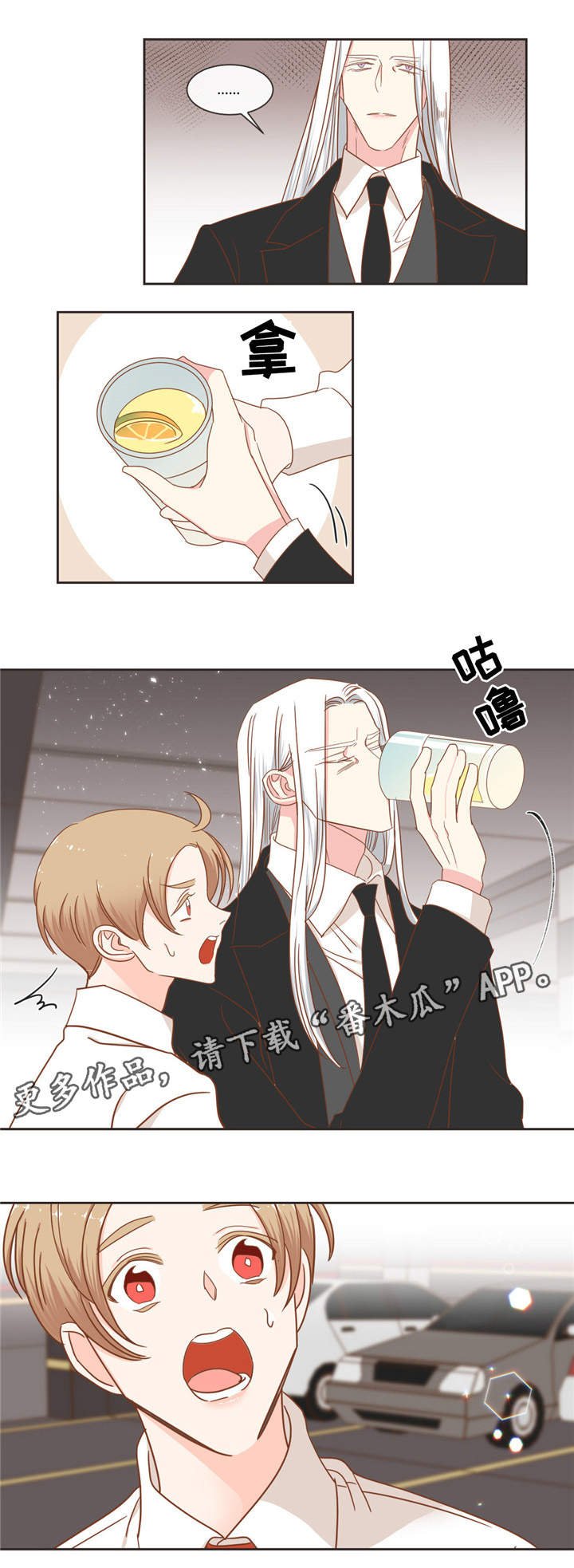 第54章：猫毛