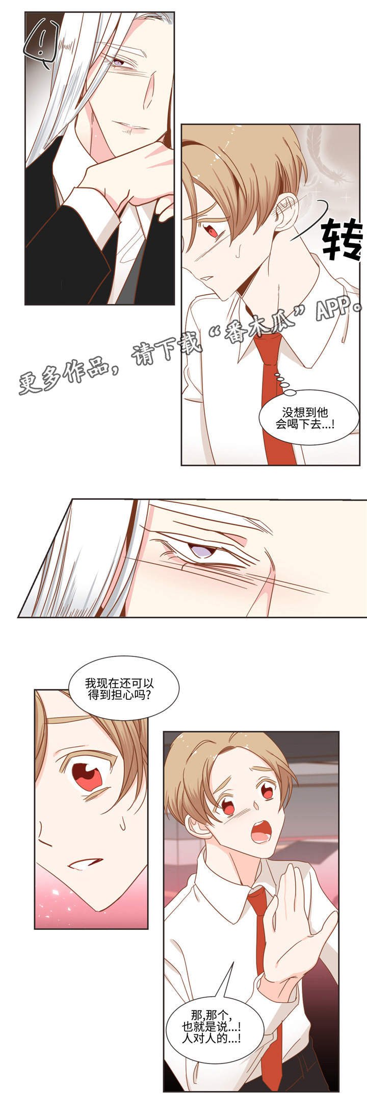 第54章：猫毛
